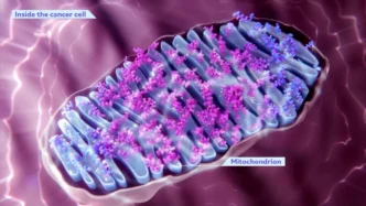 $52M for Alpheus to Advance Breakthrough Brain Treatment